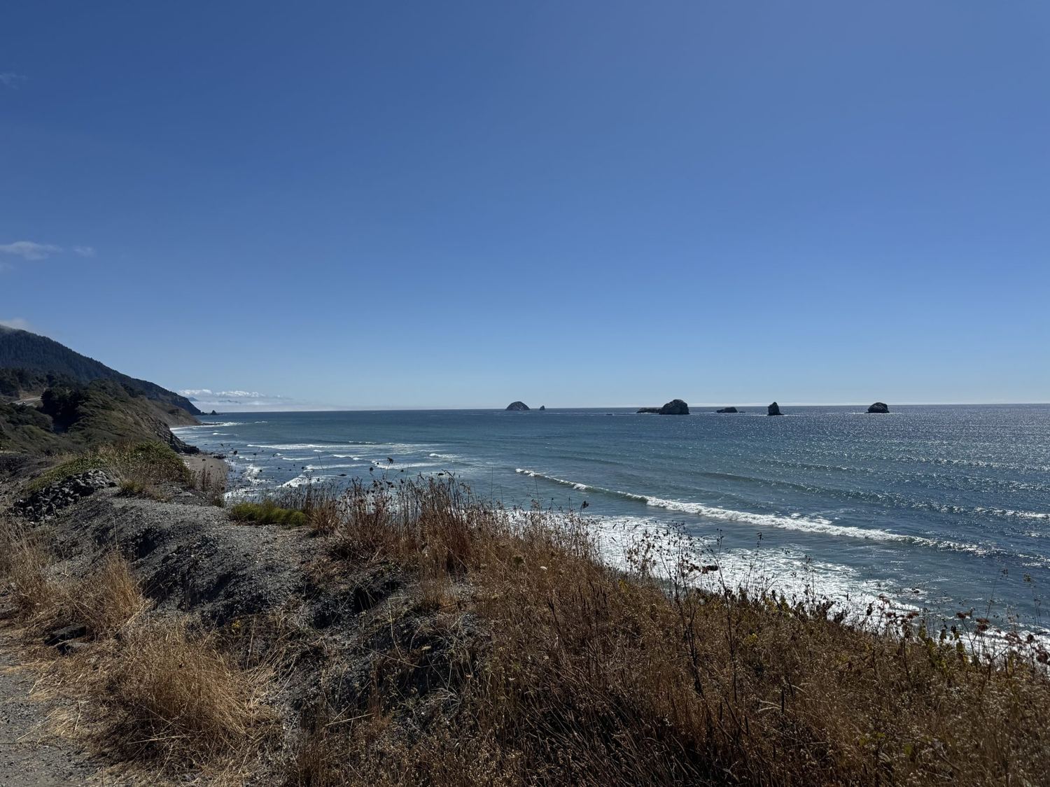 Sea stacks off the Oregon coast under a clear blue sky, seen from a grassy bluff
