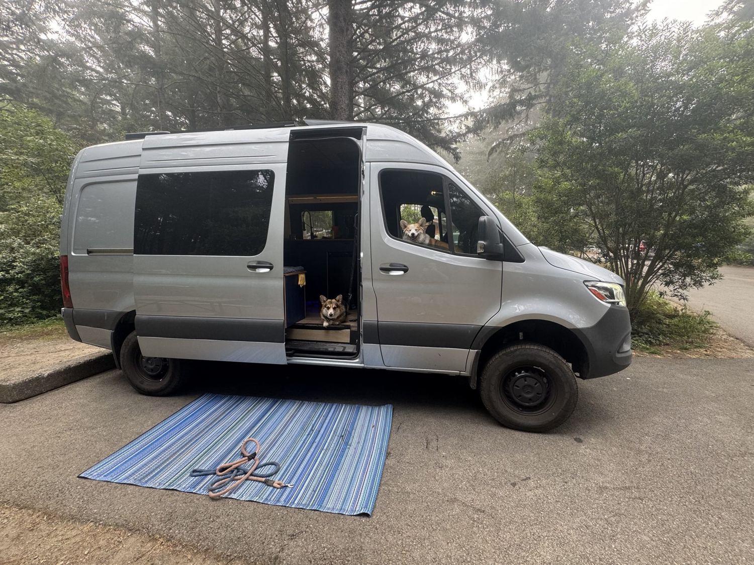 The gray Sprinter at a foggy forest campsite, side door open, a corgi in the doorway