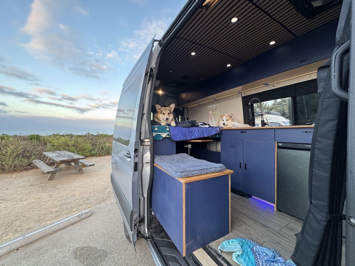 The van with its side door open at a coastal campsite, a corgi looking out, evening sky behind